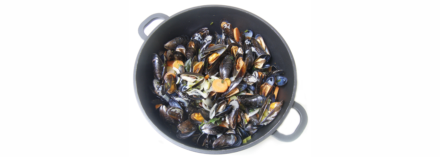 Mossel-header-2